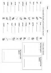 English Worksheet: Animals Unscramble and Draw