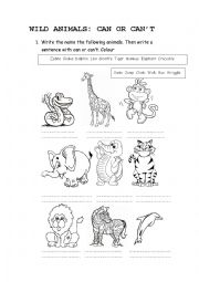 English Worksheet: wild animals: can or can�t