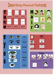 English Worksheet: describing physical features