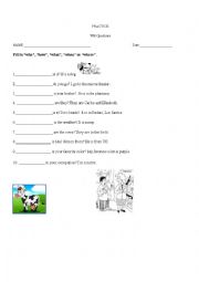 English Worksheet: Wh Questions