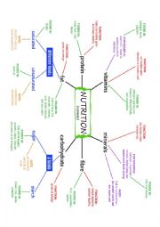 NUTRITION and NUTRIENTS Mind Map (Concept Map) plus exercises