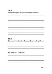 English worksheet: Animal Report Outline