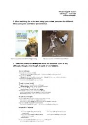 English Worksheet: Dogs Vs. Cats