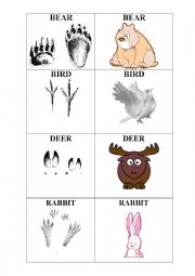 English Worksheet: Animals and their tracks