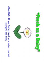 English Worksheet: Plants Idiom