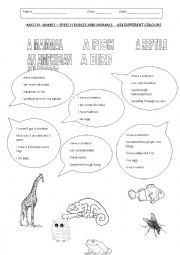 English worksheet: ANIMALS CLASSIFICATION 