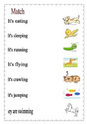 English Worksheet: animals