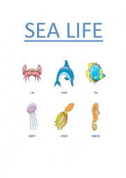 English Worksheet: Sea life