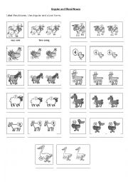 English Worksheet: Singular and Plural Nouns - Animals