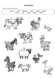 English Worksheet: Farm Animals