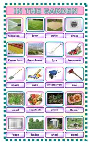 English Worksheet: in the garden pictionary