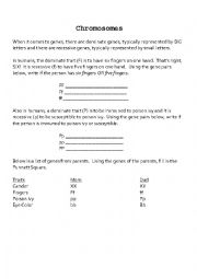 English worksheet: Chromosomes