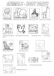 English Worksheet: ANIMALS - BODY PARTS