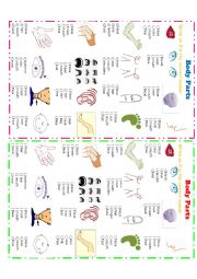 English Worksheet: Body Parts