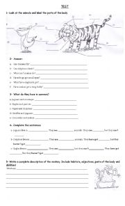 English Worksheet: Animals