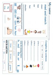 English Worksheet: my body