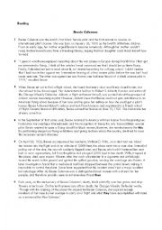 English Worksheet: READING TEST