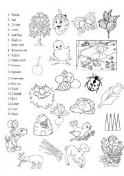 English Worksheet: Spring