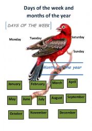 English Worksheet: Days of the week, months of the year