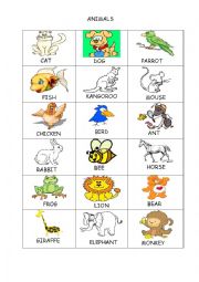 English Worksheet: Animals