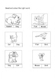 English Worksheet: read and colour the right word 