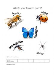 English Worksheet: Whats your favorite insect?
