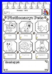 Pets pictionary
