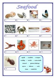 English Worksheet: Seafood