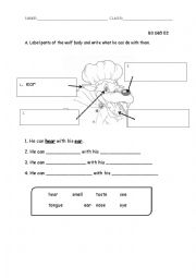 English worksheet: red riding hood 