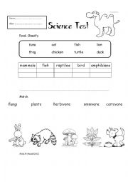 English worksheet: Science Test