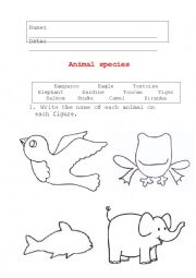 English worksheet: Animal species