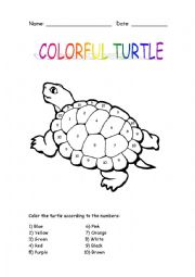 English Worksheet: Colorful Turtle
