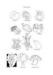 English Worksheet: Vegetables