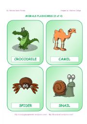 ANIMALS FLASHCARDS  - 2 OF 4