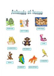 English Worksheet: Animals at home - Part I