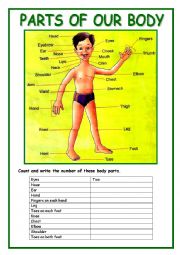 English Worksheet: PARTS OF OUR BODY(Editable) (2 Pages)