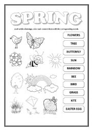 English Worksheet: SPRING