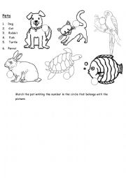 English worksheet: Pets