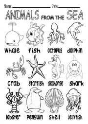English Worksheet: ANIMALS FROM THE SEA B&W