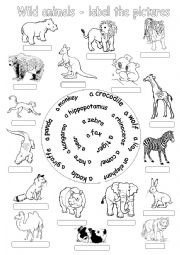 English Worksheet: Wild animals-label the pictures