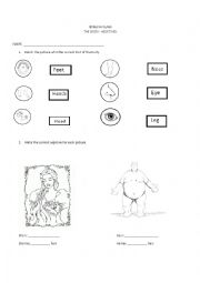 English worksheet: The Body -Adjetives