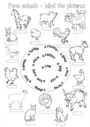 Farm animals-label the pictures - ESL worksheet by Diana561