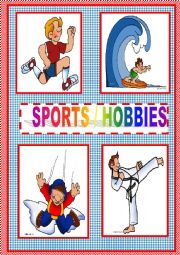 SPORTS / HOBBIES