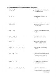 English Worksheet: PARTS OF ORGANS