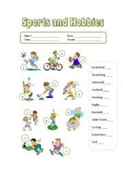 English Worksheet: Sports and Hobbies