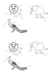 English Worksheet: Parts of animals body