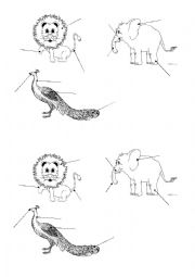 English Worksheet: Parts of animals body
