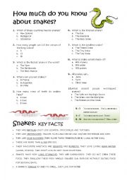 English Worksheet: Snakes