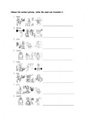 English Worksheet: Adjectives