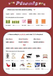 Plural rules and exercices 